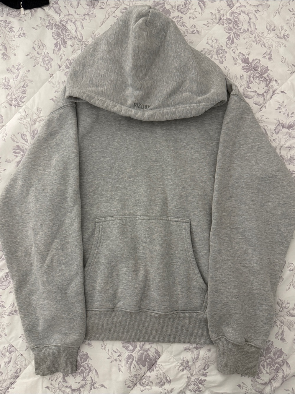 Aritzia Cozy Fleece Perfect Hoodie (Heather Chrome)
